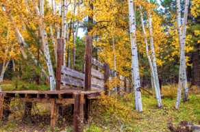 Old Cattle Chute-4310.jpg